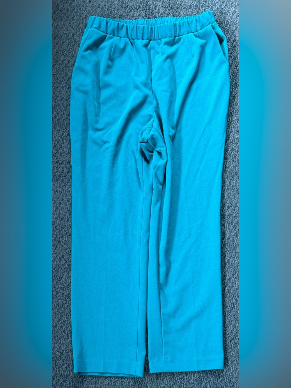 Allison Daley Petite Teal Pull-On Pants